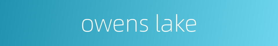 owens lake的同义词