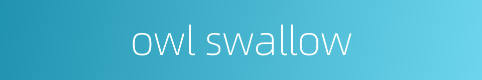 owl swallow的同义词
