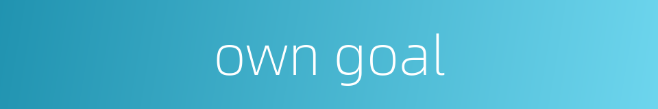 own goal的同义词