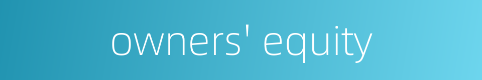owners' equity的同义词
