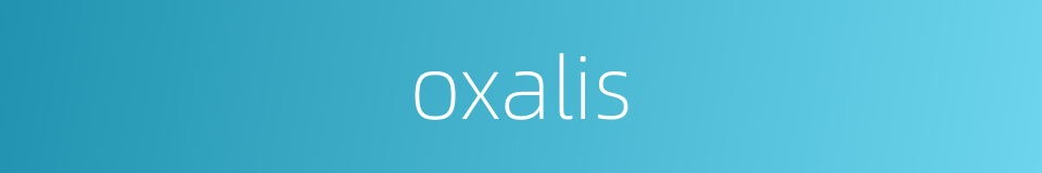 oxalis的同义词