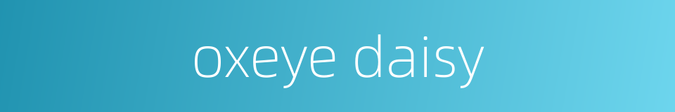 oxeye daisy的同义词