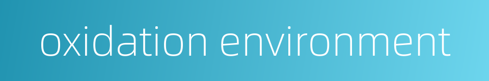 oxidation environment的同义词