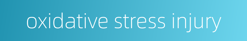 oxidative stress injury的同义词