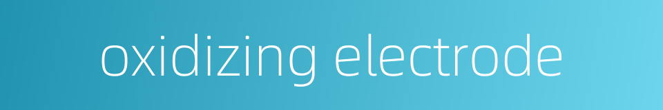 oxidizing electrode的同义词