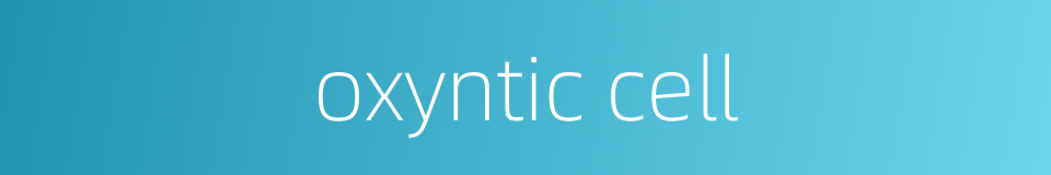 oxyntic cell的同义词
