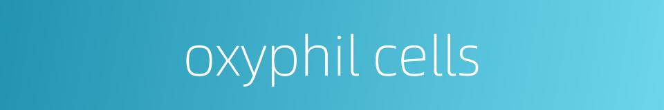 oxyphil cells的同义词