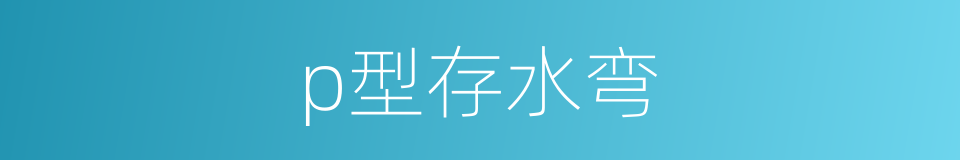 p型存水弯的同义词