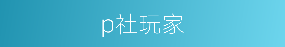 p社玩家的同义词