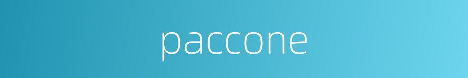 paccone的同义词