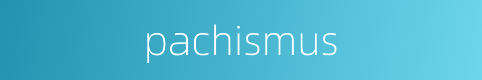 pachismus的同义词