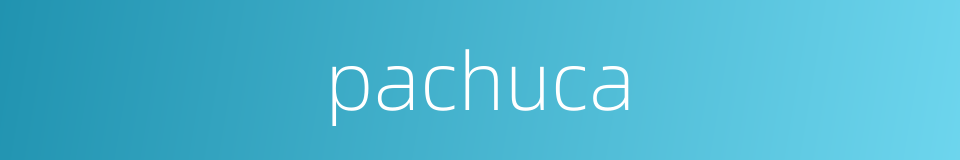 pachuca的同义词