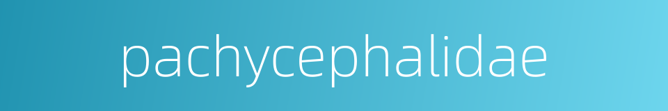 pachycephalidae的同义词