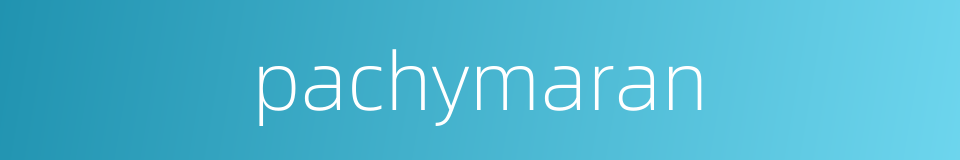 pachymaran的同义词