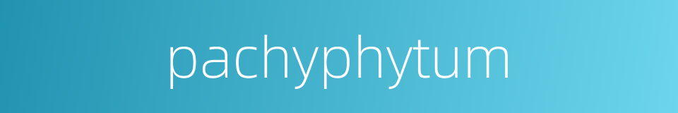 pachyphytum的同义词