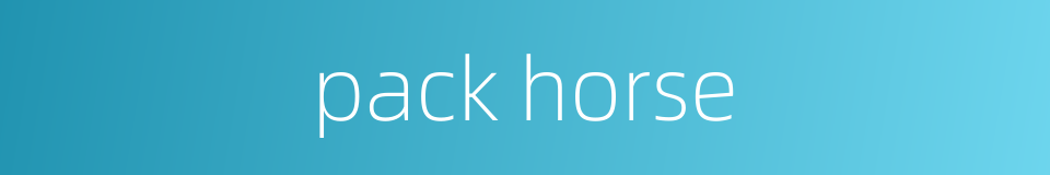 pack horse的同义词