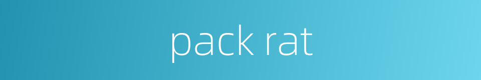 pack rat的同义词