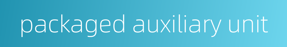 packaged auxiliary unit的同义词