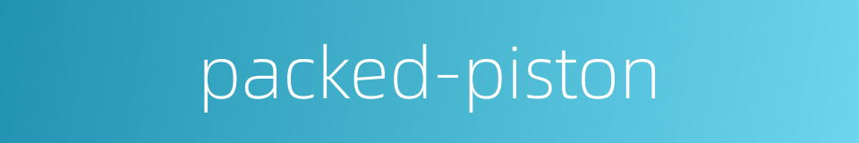 packed-piston的同义词