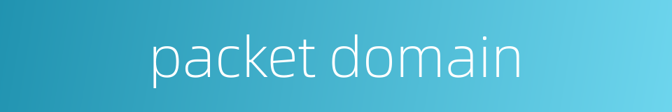 packet domain的同义词