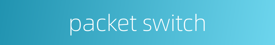 packet switch的同义词