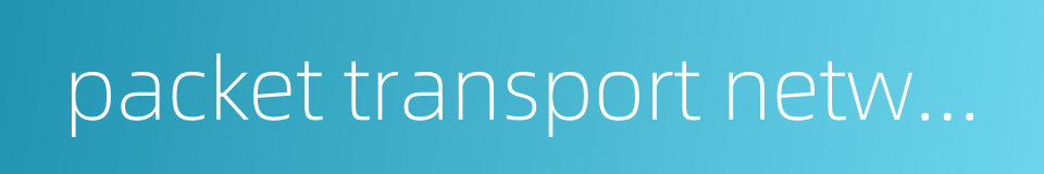 packet transport network的同义词