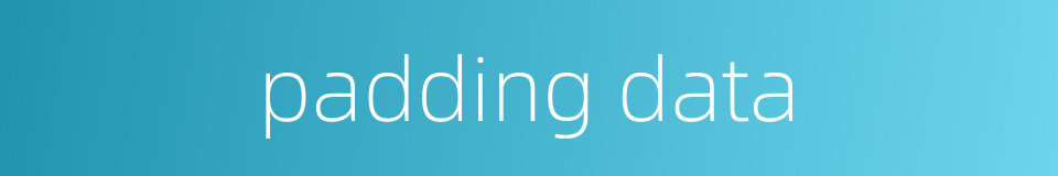 padding data的同义词