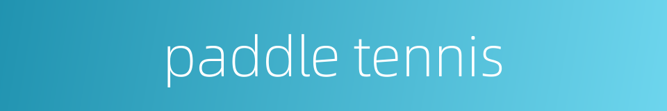 paddle tennis的同义词