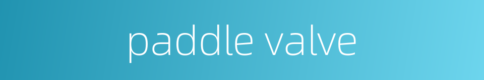 paddle valve的同义词