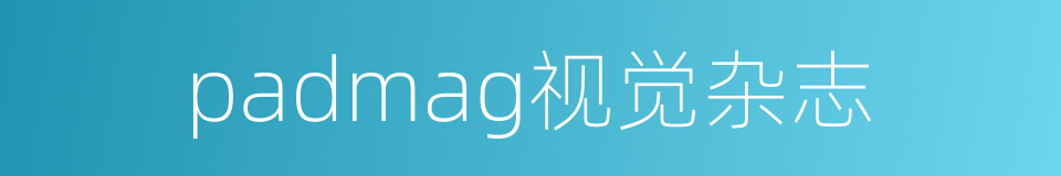 padmag视觉杂志的同义词