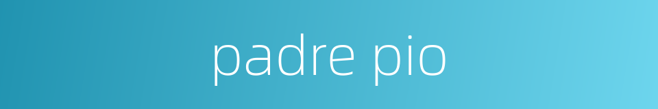 padre pio的同义词