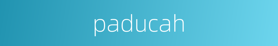 paducah的同义词