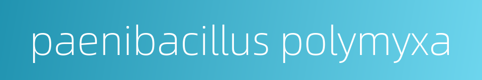 paenibacillus polymyxa的同义词