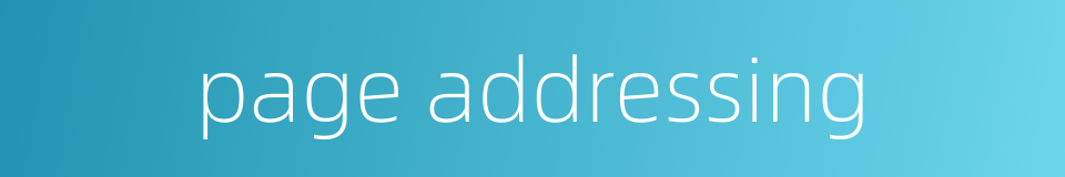 page addressing的同义词