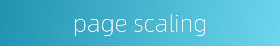 page scaling的同义词