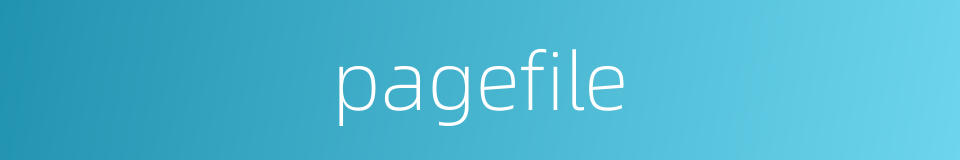 pagefile的同义词