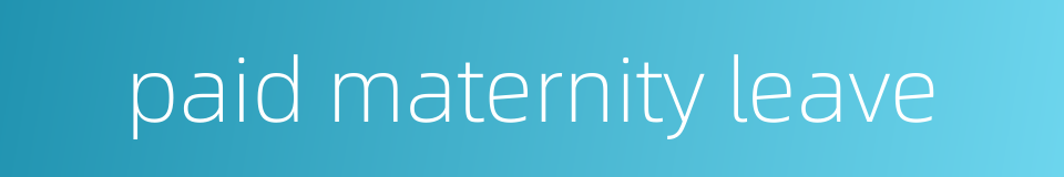 paid maternity leave的同义词