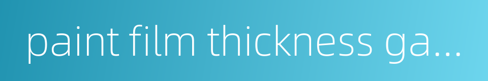 paint film thickness gauge的同义词