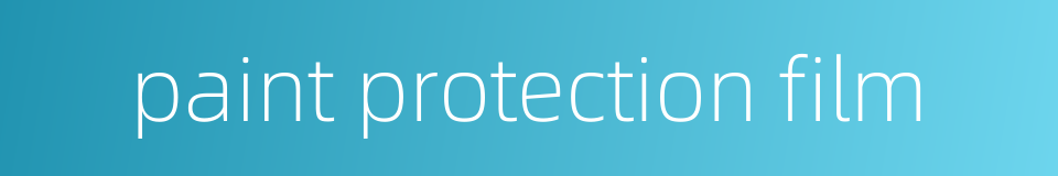 paint protection film的同义词
