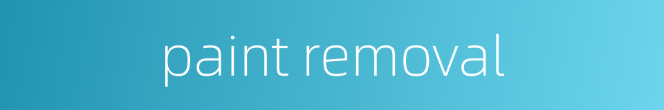 paint removal的同义词