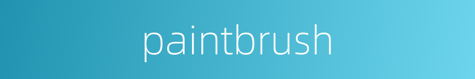 paintbrush的同义词