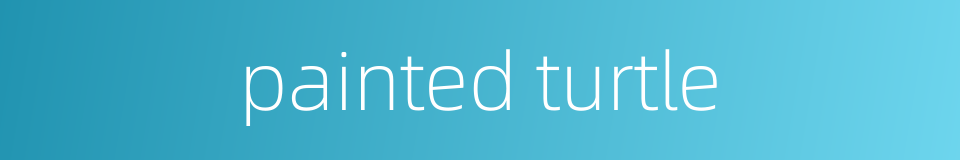 painted turtle的同义词