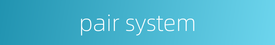 pair system的同义词