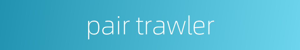 pair trawler的同义词