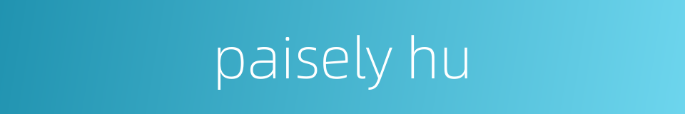 paisely hu的同义词