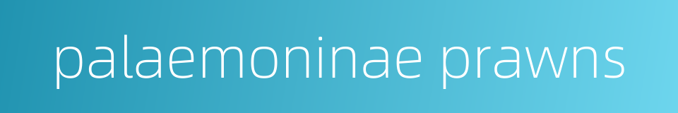 palaemoninae prawns的同义词