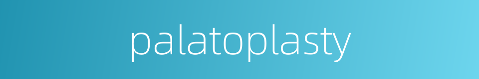 palatoplasty的同义词