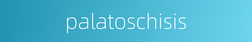 palatoschisis的同义词