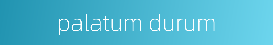 palatum durum的同义词