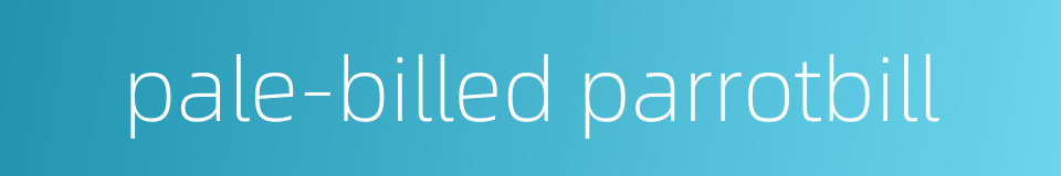 pale-billed parrotbill的同义词